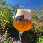 HEFT Primeur Pale Ale - editie: verse hop '25 - Afbeelding 3